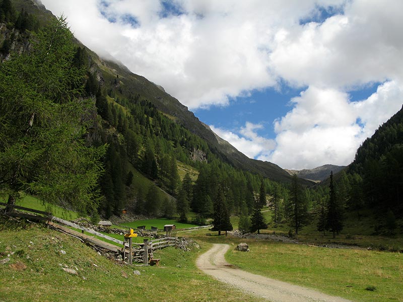 weissespitze